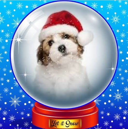 Christmas Snow Globe Profile Frame