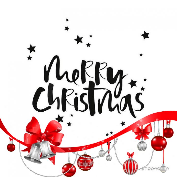 Toni Tails Merry Christmas Profile Frame